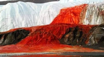 علماء يحلون لغز شلالات الدم في القطب الجنوبي بعد 100 عام من الغموض